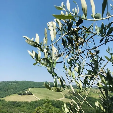 Mea Casa Toscana Апартаменты Кастелина ин Шианти
