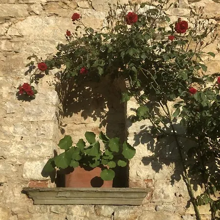Mea Casa Toscana Кастелина ин Шианти