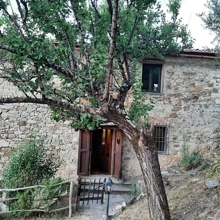 Apartment Mea Casa Toscana Castellina in Chianti