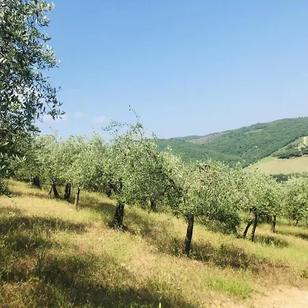 Апартаменты Mea Casa Toscana *