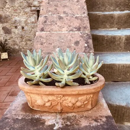 Mea Casa Toscana *