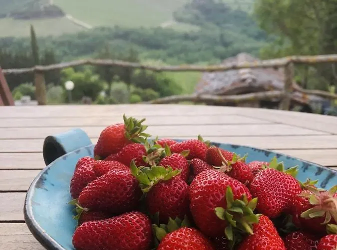 Mea Casa Toscana Apartment