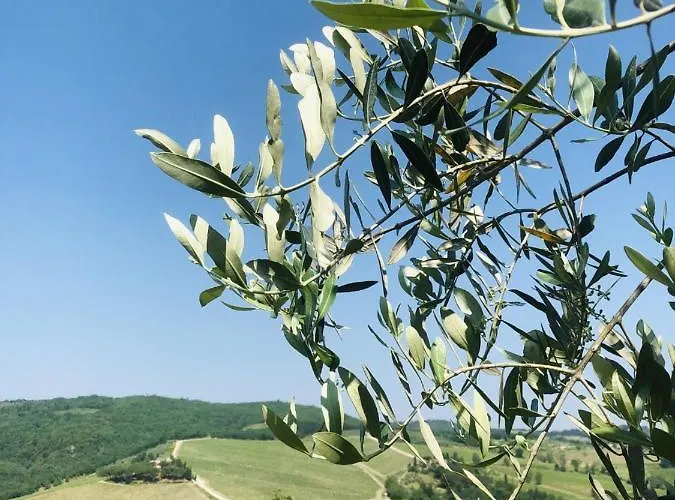 Mea Casa Toscana Apartment Castellina in Chianti