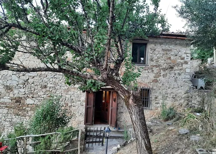 Apartment Mea Casa Toscana Castellina in Chianti