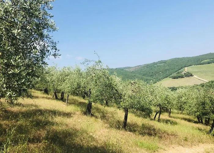 Apartment Mea Casa Toscana *